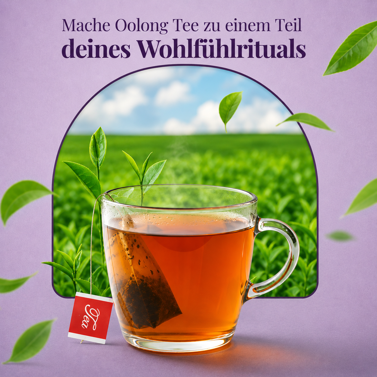 Organic Honey Scented Oolong Tea Bags Subs